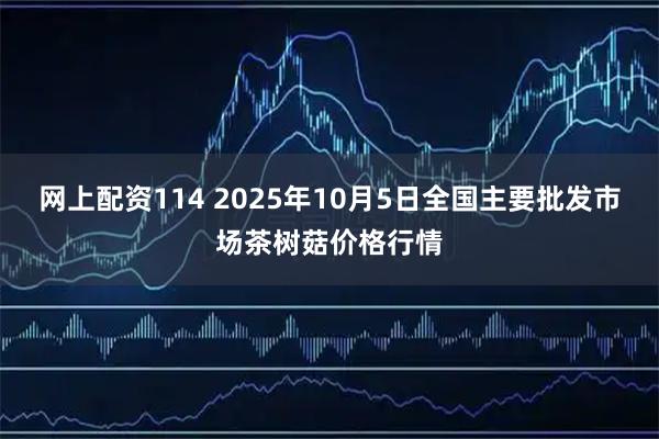 网上配资114 2025年10月5日全国主要批发市场茶树菇价格行情