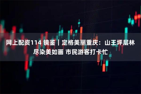 网上配资114 镜鉴｜定格美丽重庆：山王坪层林尽染美如画 市民游客打卡忙