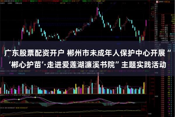 广东股票配资开户 郴州市未成年人保护中心开展“‘郴心护苗’·走进爱莲湖濂溪书院”主题实践活动